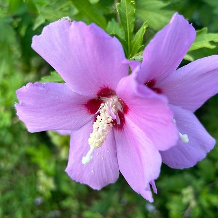 VélinesMoulin A Vent De Prentygarde En Dordogne公寓 外观 照片